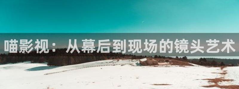 野草莓电影在线观看：喵影视：从幕后到现场的镜头艺术